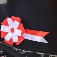 Zobacz w powiększeniu: Uroczystości 231. rocznicy uchwalenia Konstytucji 3 Maja (43)